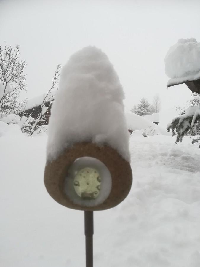 Appartamento Haus Schmidberger Schneizlreuth Esterno foto